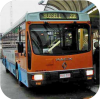 ACTION blue & orange era Bus Image Gallery